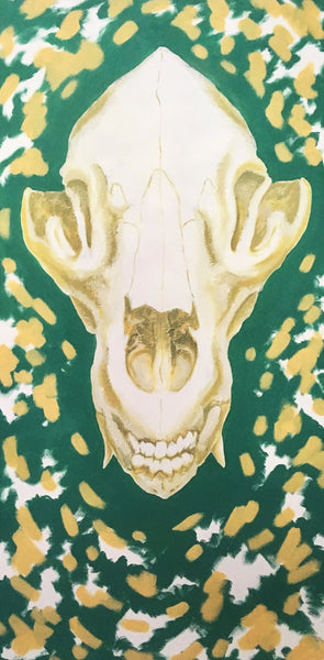 Black Bear Skull